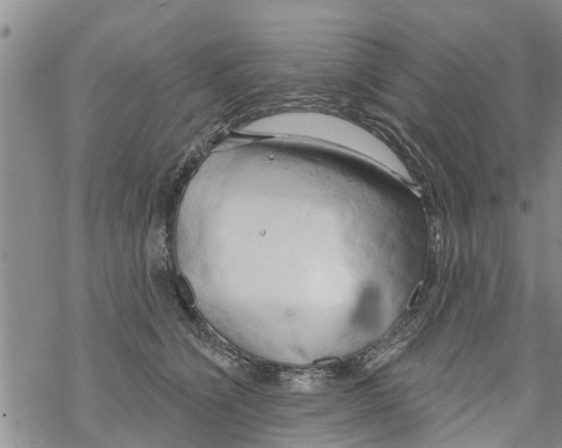 X0000068770564200605262209