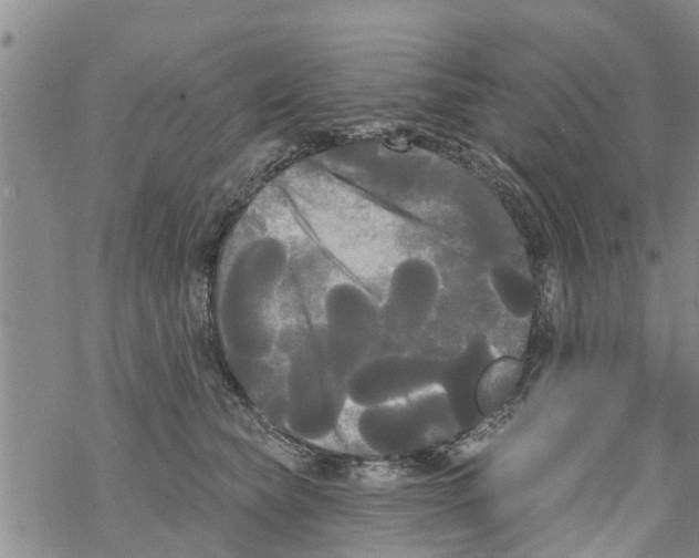 X0000068770565200605262209