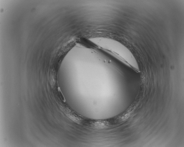 X0000068770566200605262209