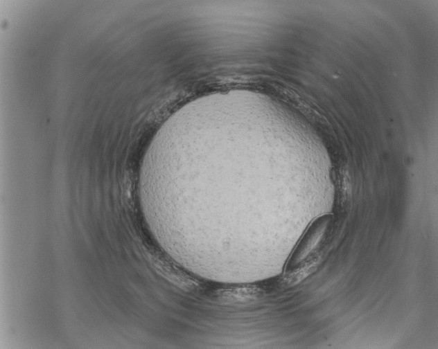 X0000068770567200605262209