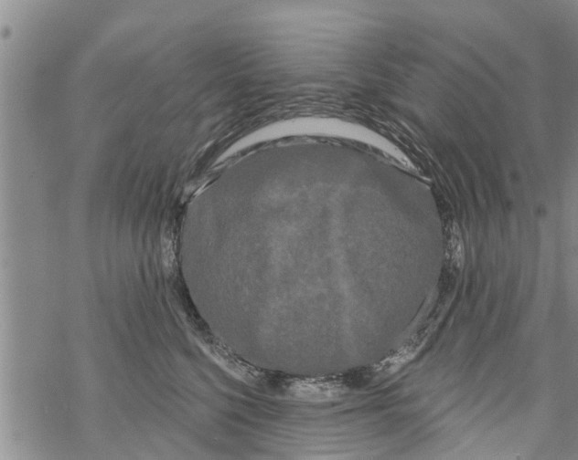 X0000068770568200605262209