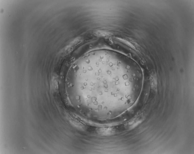 X0000068770570200605262209