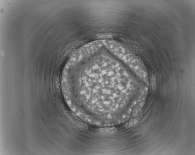 X0000068770571200605262209