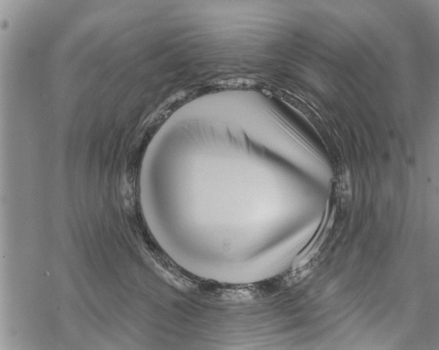 X0000068770572200605262209