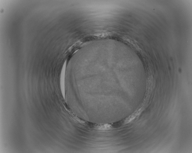 X0000068770576200605262209