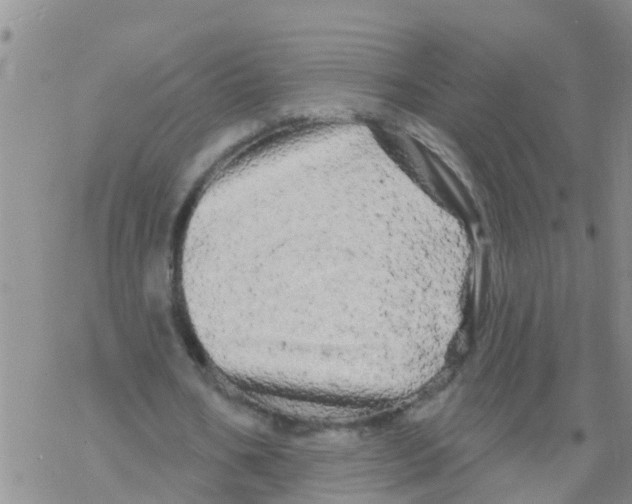 X0000068770578200605262208