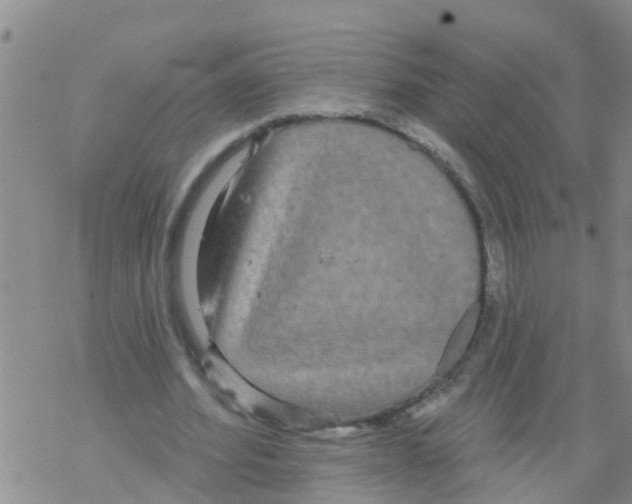 X0000068770580200605262208