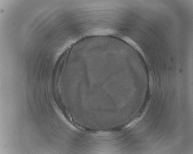 X0000068770581200605262208