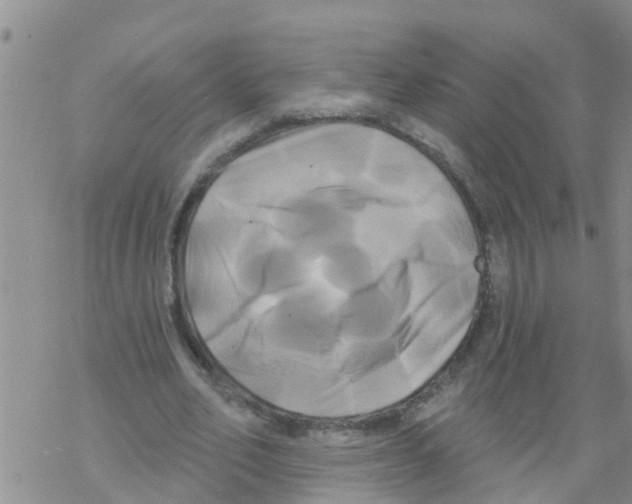 X0000068770582200605262208