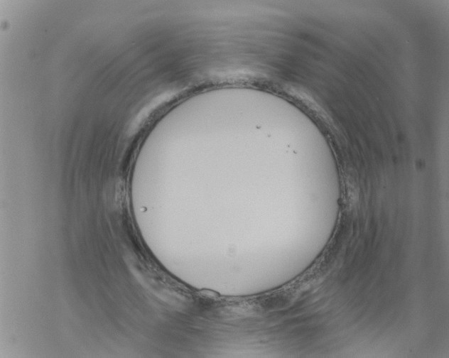 X0000068770583200605262208