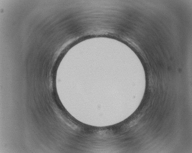 X0000068770584200605262208