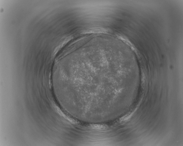 X0000068770585200605262208