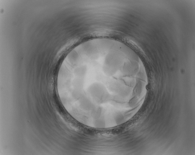 X0000068770586200605262208