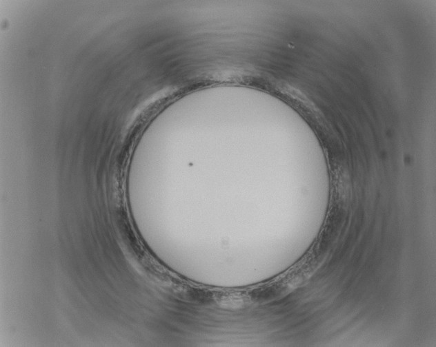 X0000068770587200605262208