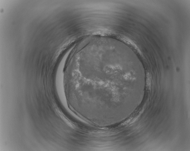 X0000068770589200605262208