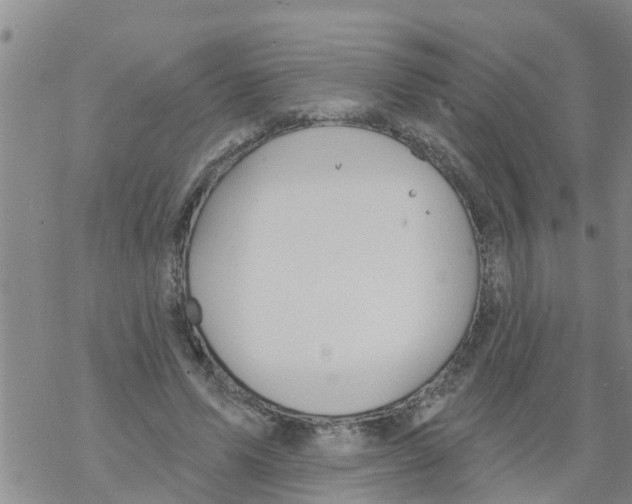 X0000068770591200605262208