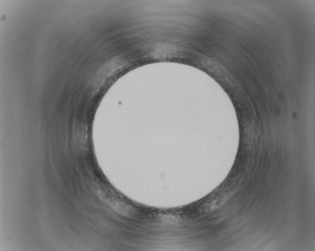 X0000068770592200605262208