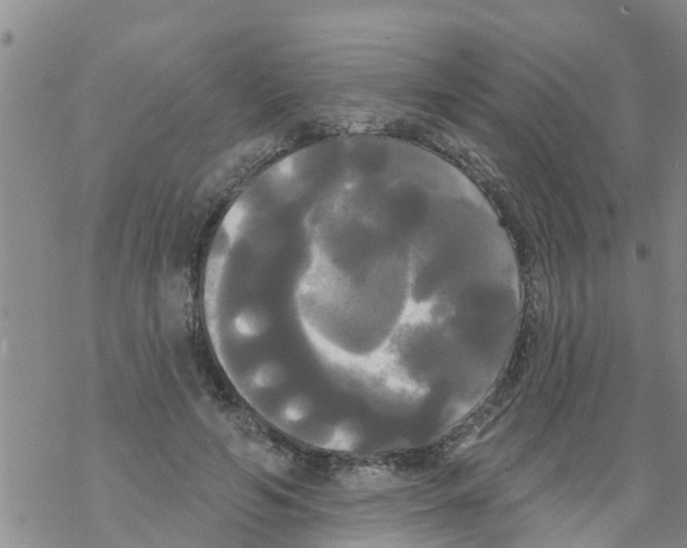 X0000068770594200605262208