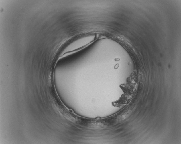 X0000068770596200605262208