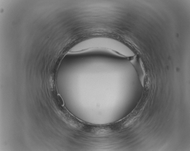 X0000068770597200605262208