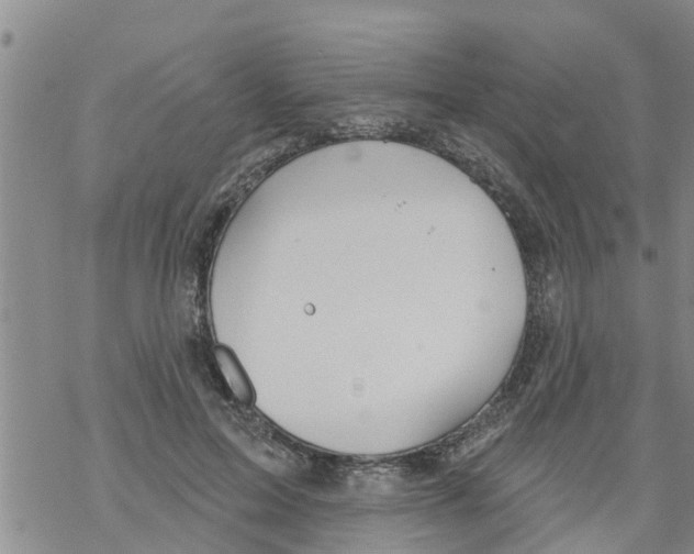 X0000068770599200605262208