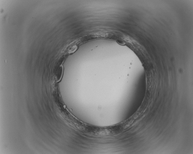 X0000068770600200605262208