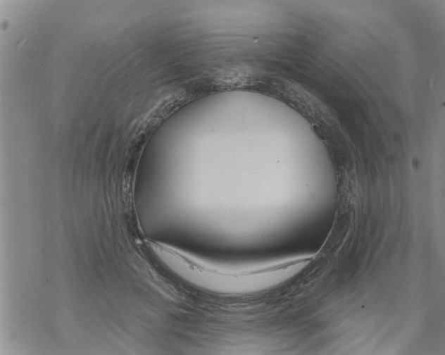 X0000068770601200605262208