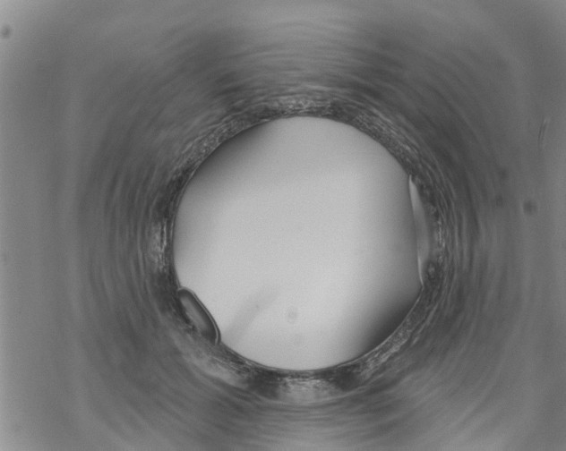 X0000068770605200605262208