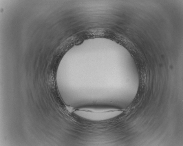 X0000068770609200605262208