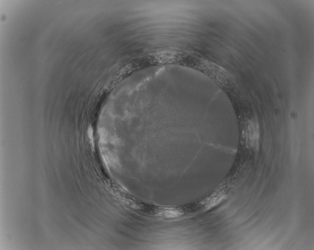 X0000068770610200605262208