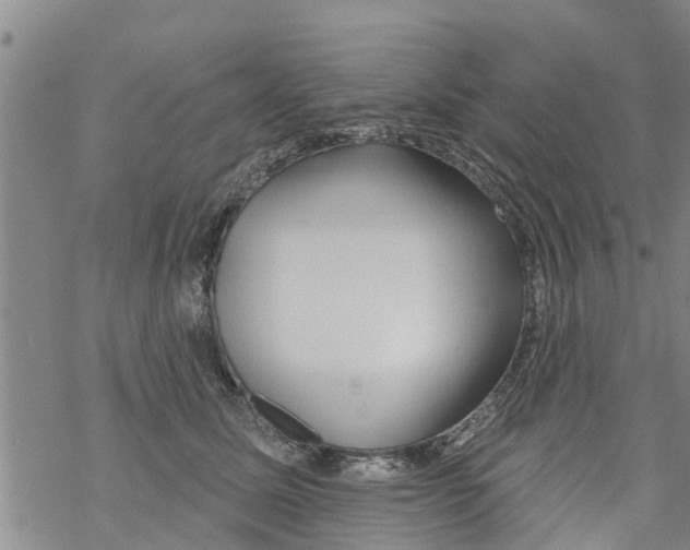 X0000068770611200605262208