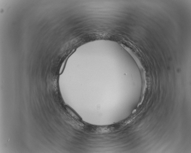 X0000068770613200605262208