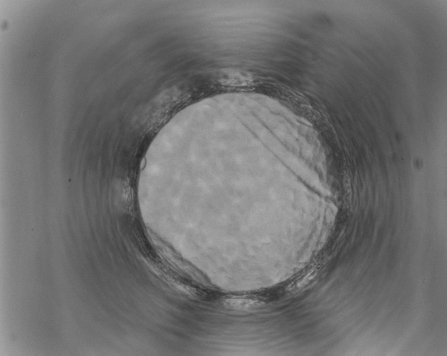 X0000068770614200605262208