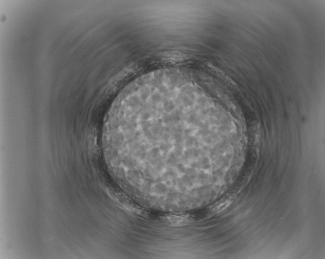 X0000068770615200605262208