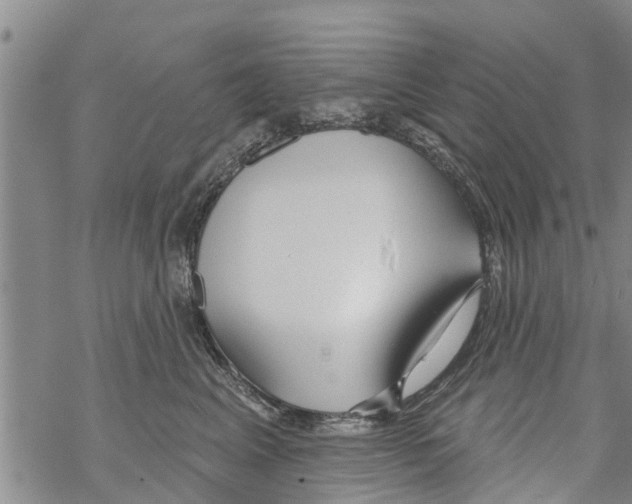 X0000068770617200605262208