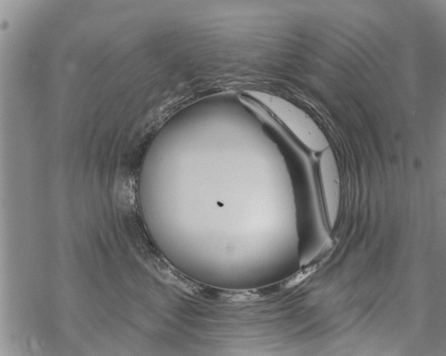 X0000068770621200605262208