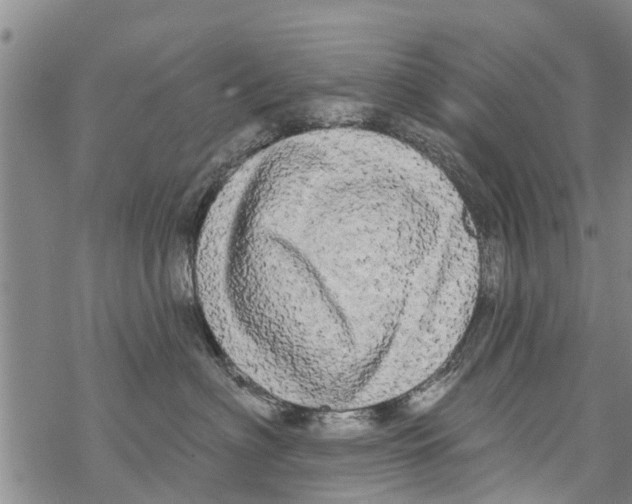 X0000068770622200605262208