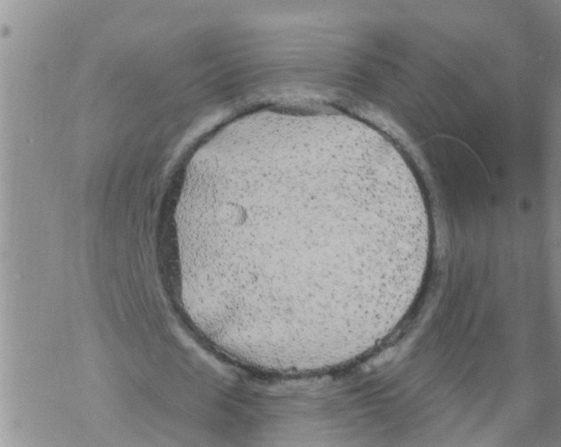 X0000068770625200605262207