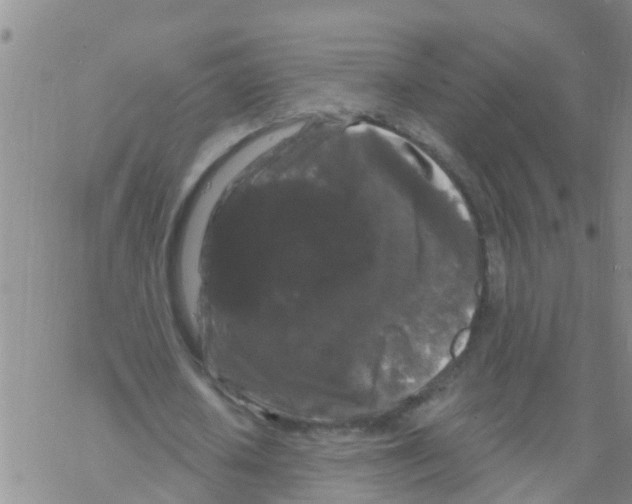 X0000068770626200605262207