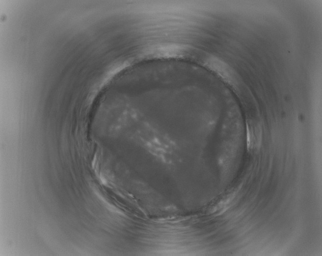 X0000068770627200605262207