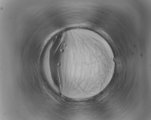 X0000068770628200605262207