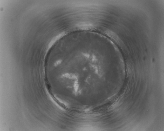 X0000068770630200605262207