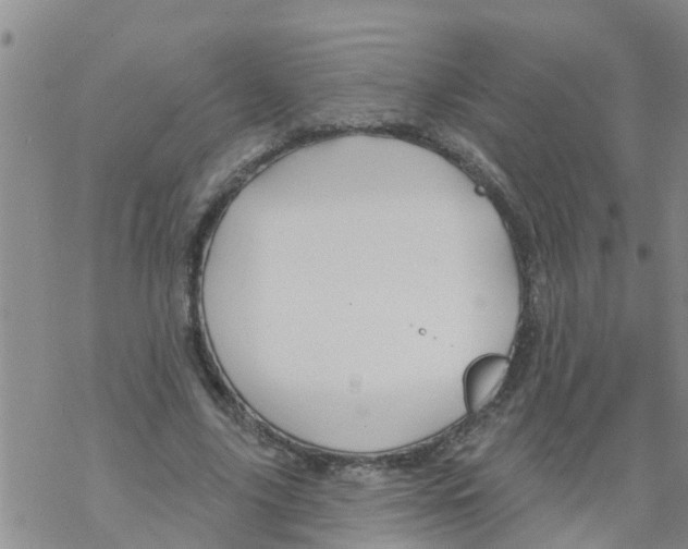 X0000068770635200605262207