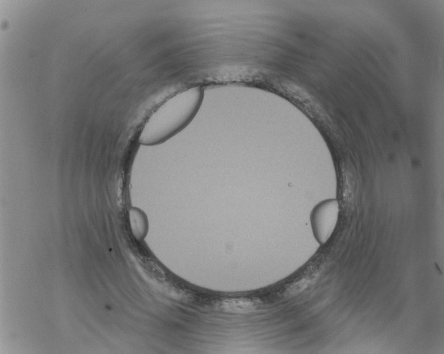 X0000068770636200605262207