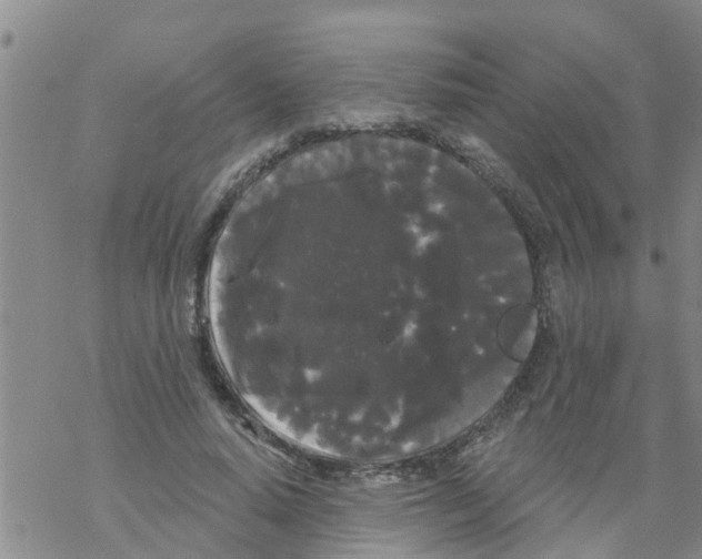 X0000068770640200605262207