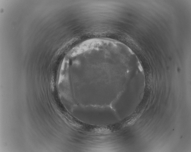 X0000068770644200605262207