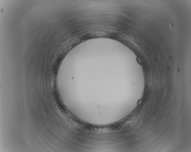 X0000068770645200605262207