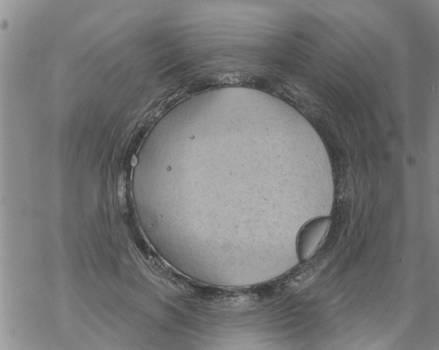 X0000068770646200605262207