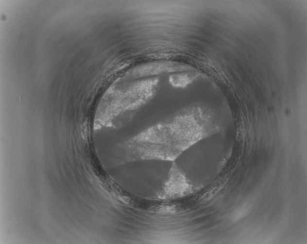 X0000068770647200605262207