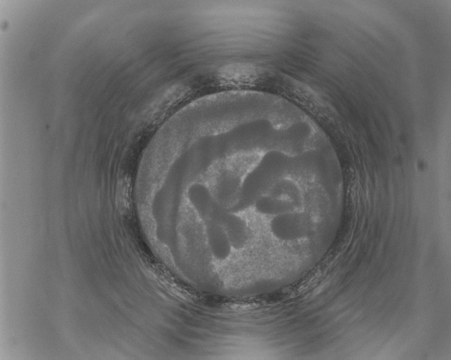 X0000068770649200605262207